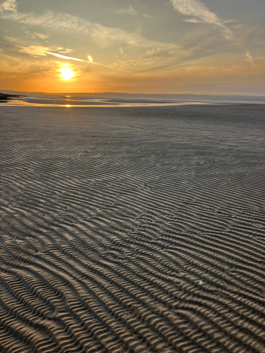 Lines in the&nbsp;Light