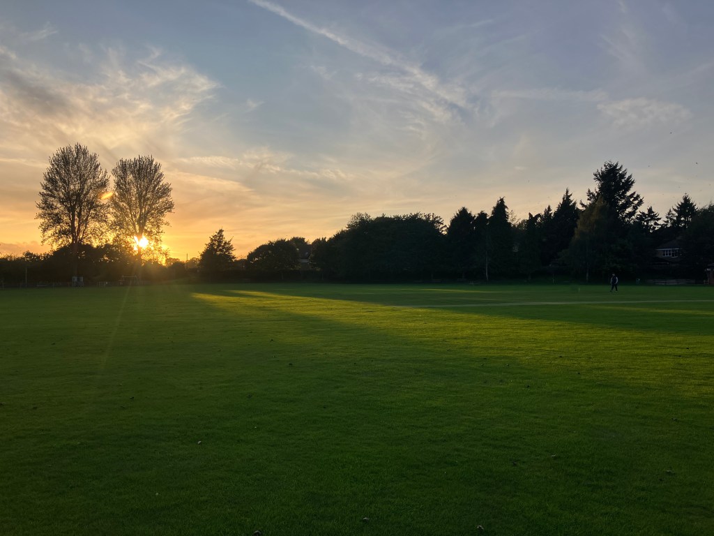 Helping with The&nbsp;Harvest