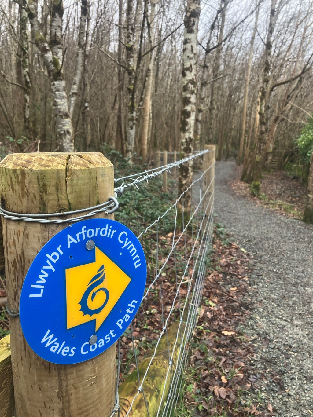 On the North Wales Coastal&nbsp;Path