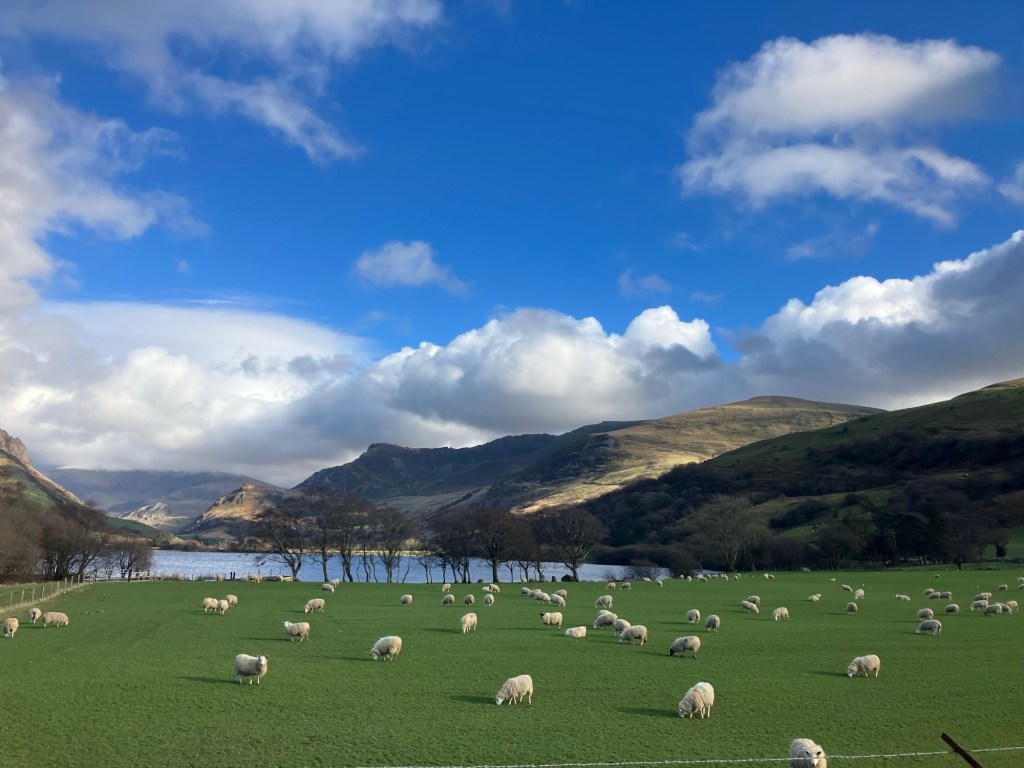 Riding to the&nbsp;Roastary