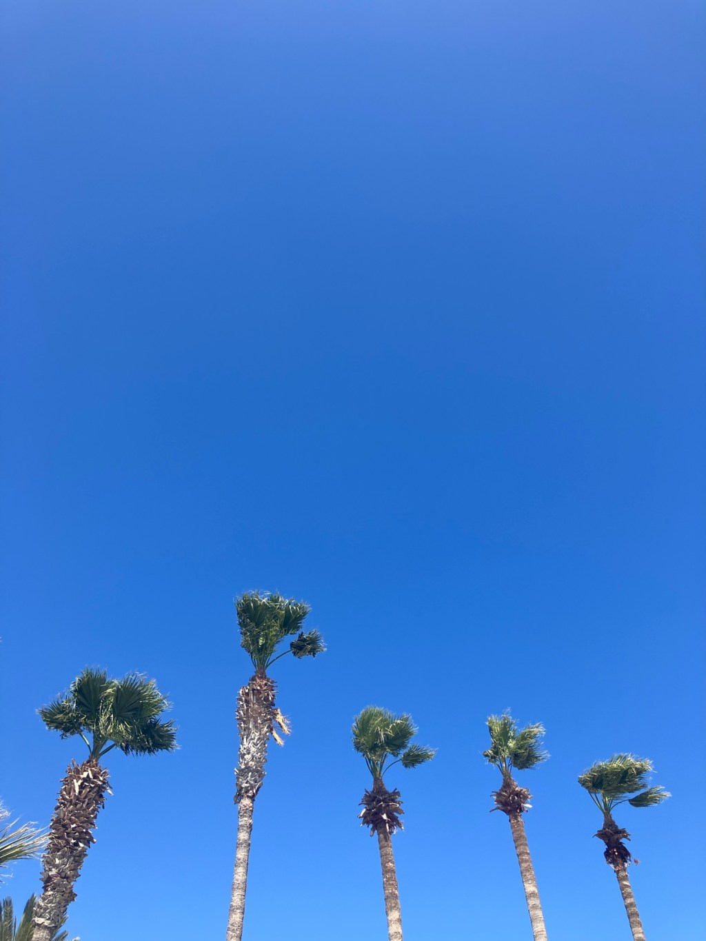 Turkish Acclimatisation