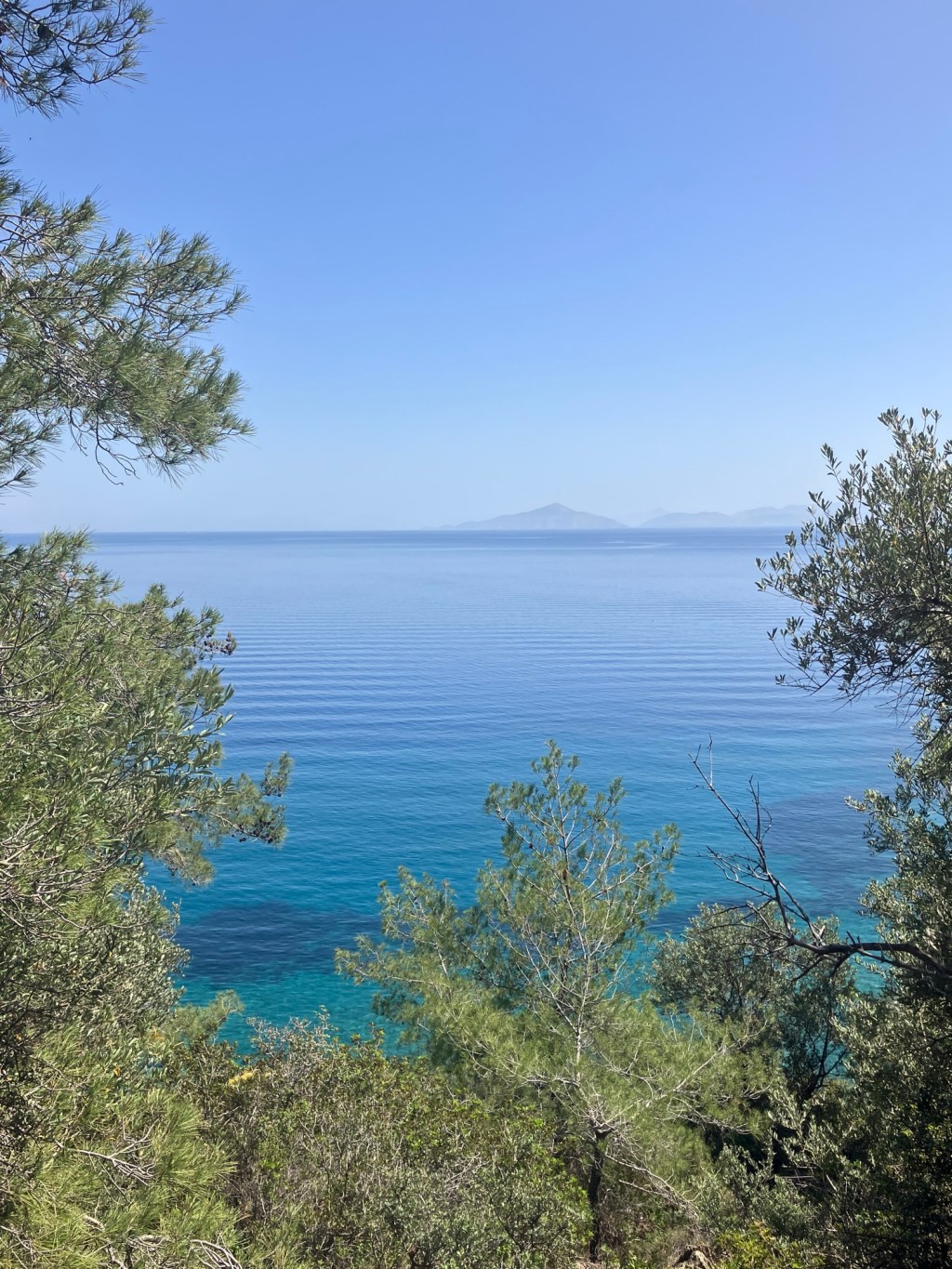 11th Wedding Anniversary