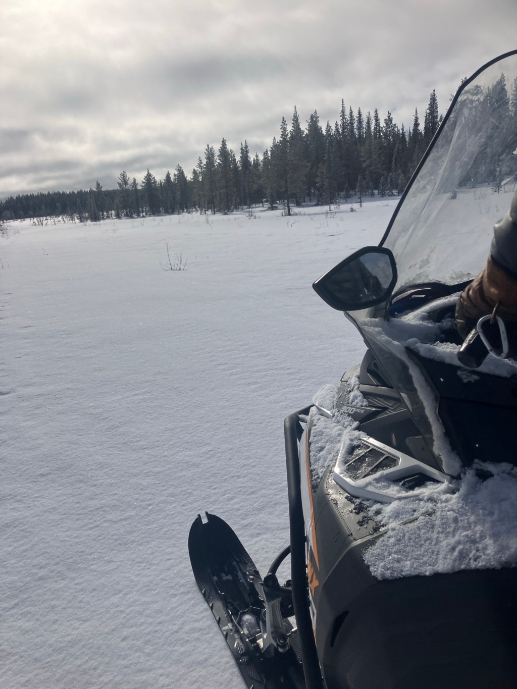 Returning to Civilisation