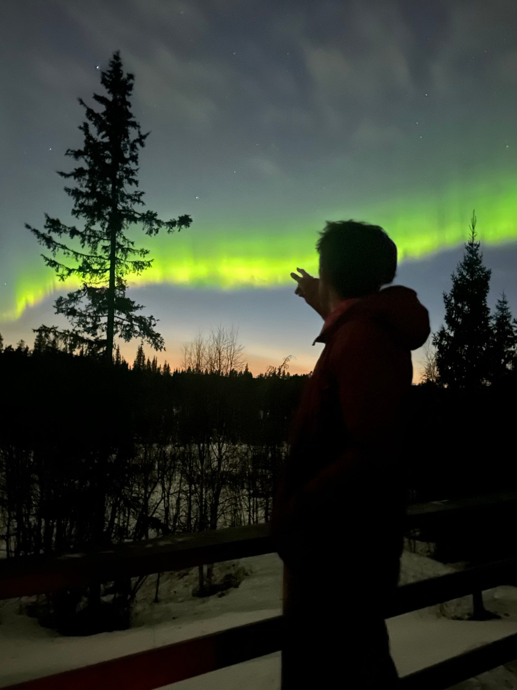 The Northern Lights & Husky&nbsp;Training…