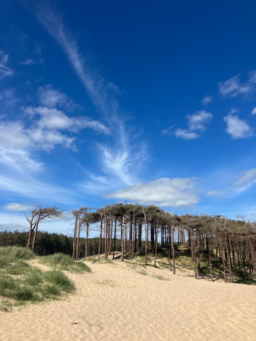 Anglesey Coastal Hike