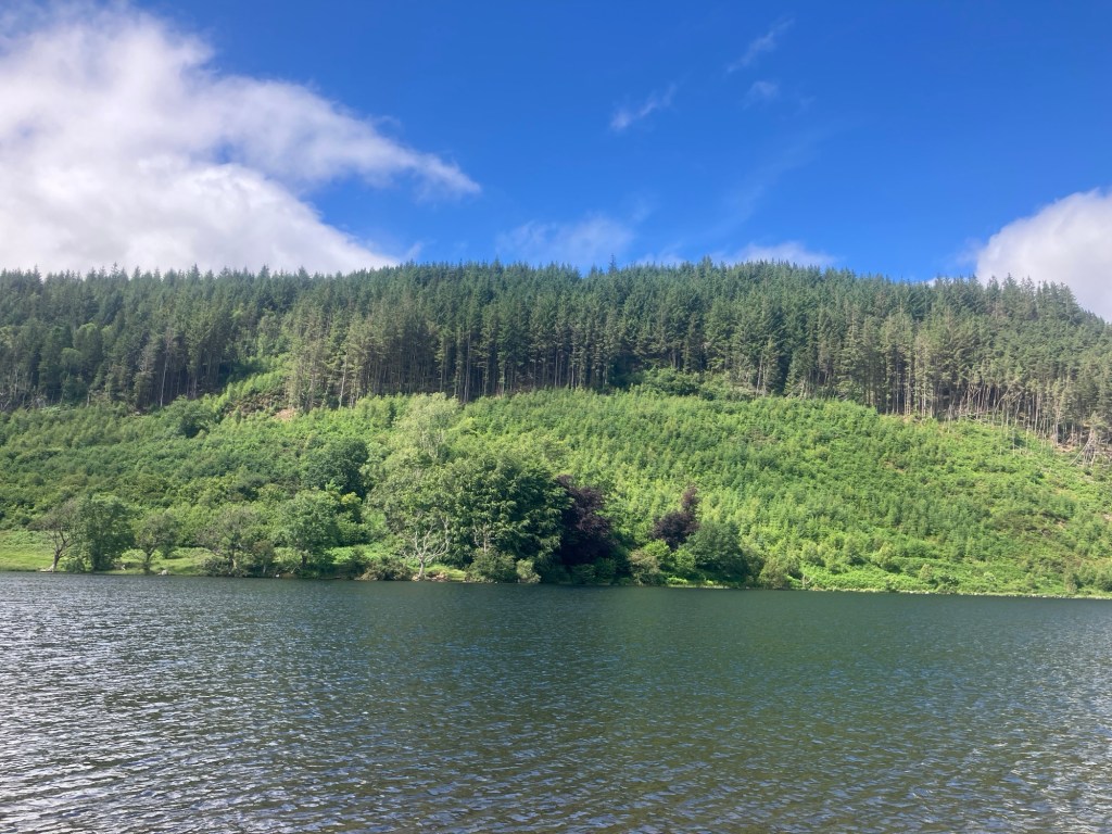 Finishing Up and Moving&nbsp;Out