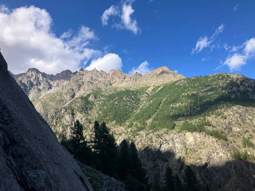 An unexpected Uplift…