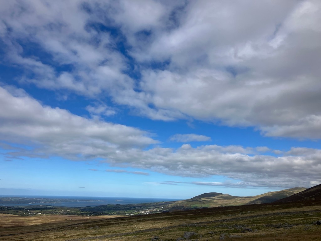 On and In the&nbsp;water