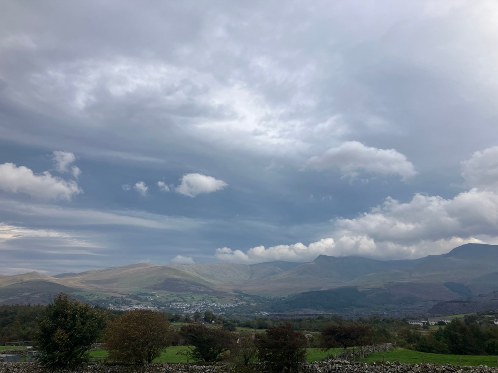 Wildlife & Woodlands on a Windy&nbsp;Walk