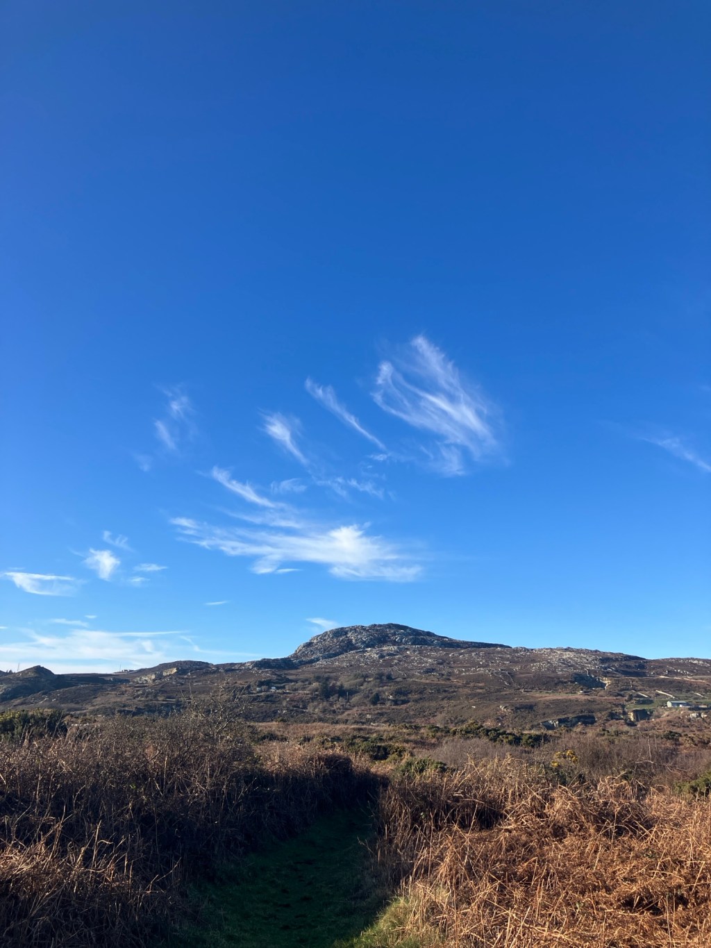 A journey of two&nbsp;halves