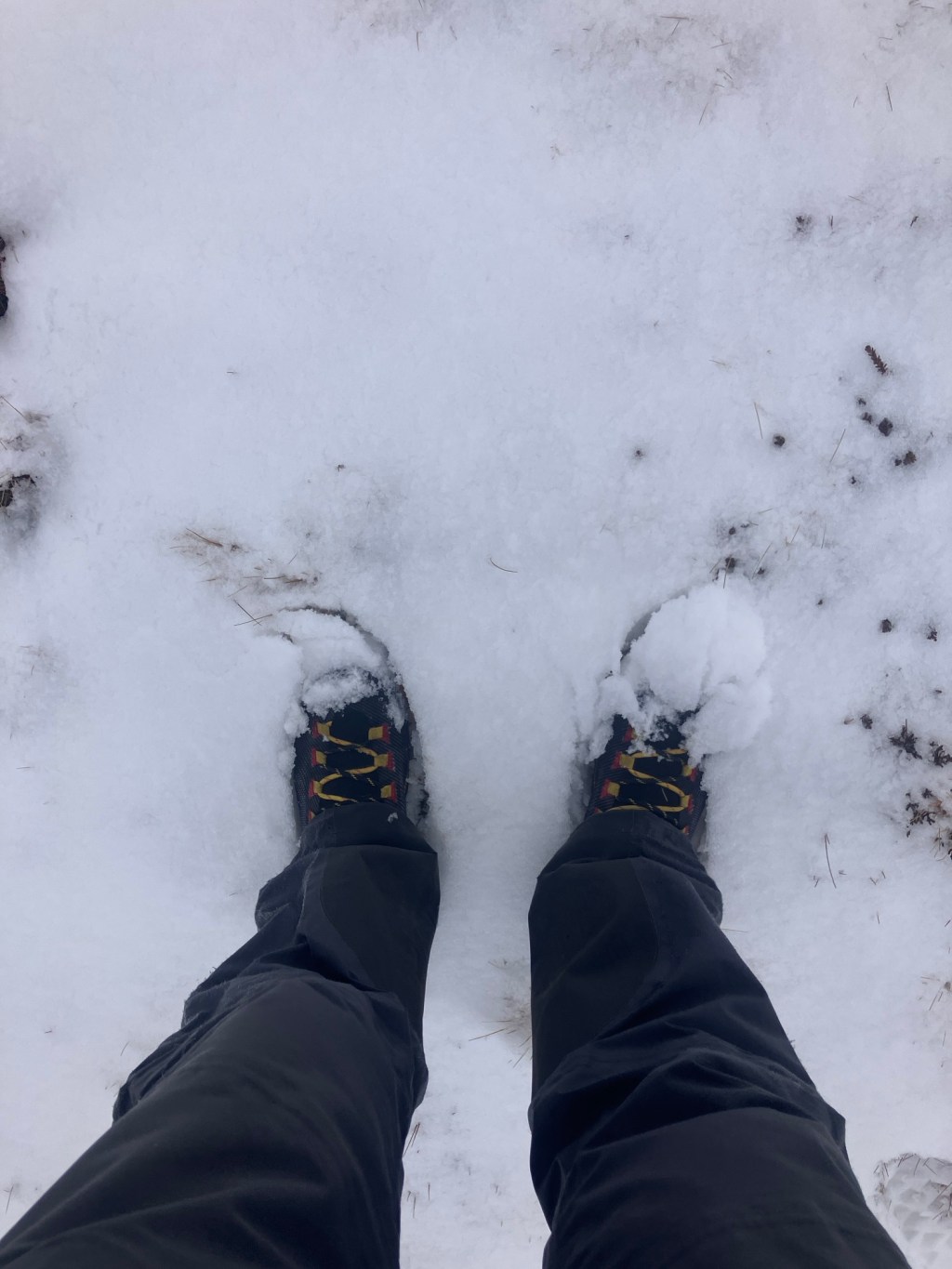 Back in the&nbsp;Snow!