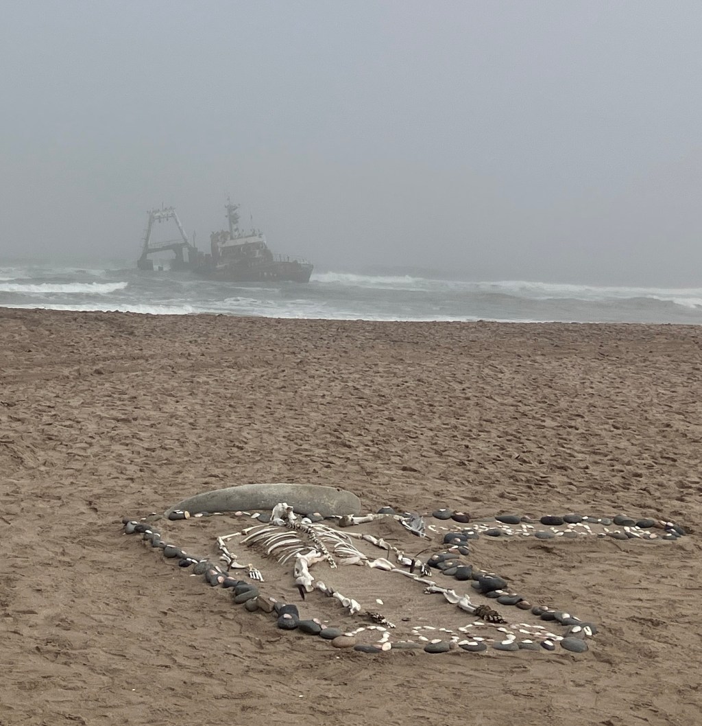 On the Skeleton Coast, Namibia