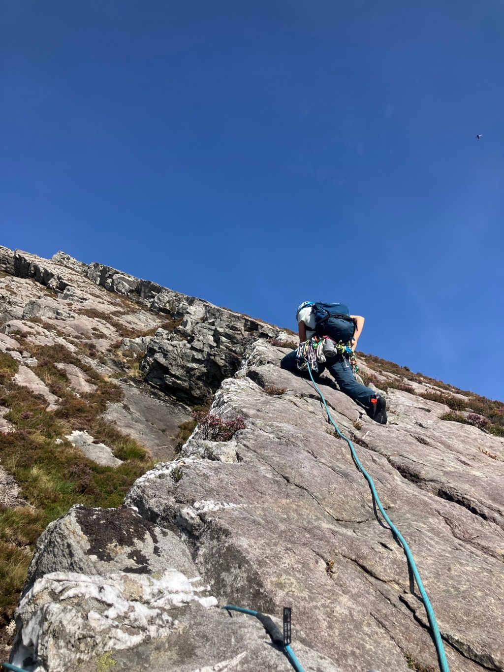 Left Edge, V.Diff** Carnedd y&nbsp;Filiast